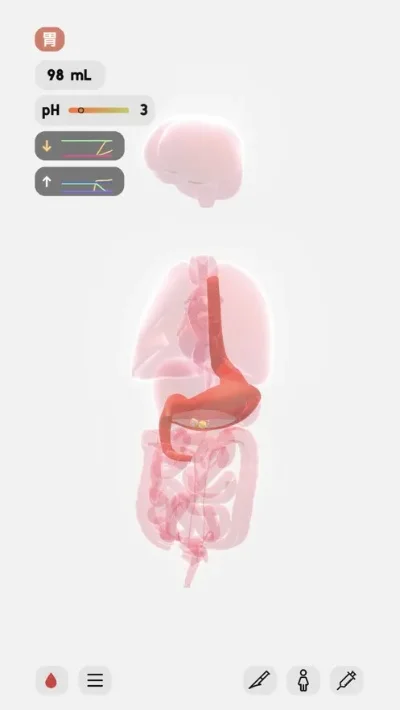 LIFE生命模拟器修仙版攻略详解及测评