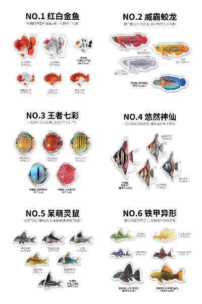 cf手游十大锦鲤-cf手游十大锦鲤之旅