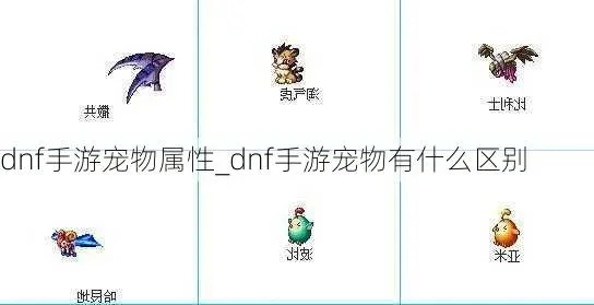 dnf手游宠物模糊-dnf宠物模糊探索之旅
